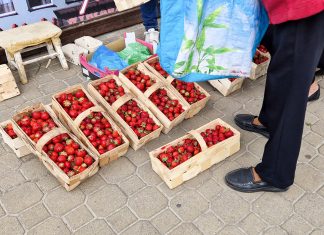 Truskawkowa bessa. Ten sezon staje się koszmarem!