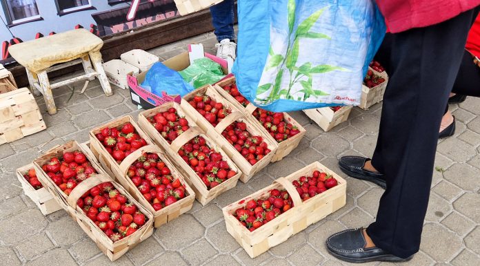 Truskawkowa bessa. Ten sezon staje się koszmarem!