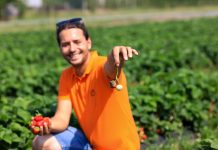 Dzieje się w truskawkach! Szara pleśń, antraknoza i wciornastki