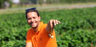 Dzieje się w truskawkach! Szara pleśń, antraknoza i wciornastki