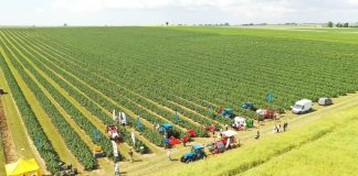 Pokazy porzeczkowe tuż przed zbiorami 2023