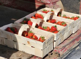 Ceny spadają! Truskawki i maliny na rynkach hurtowych (6.06.2023)