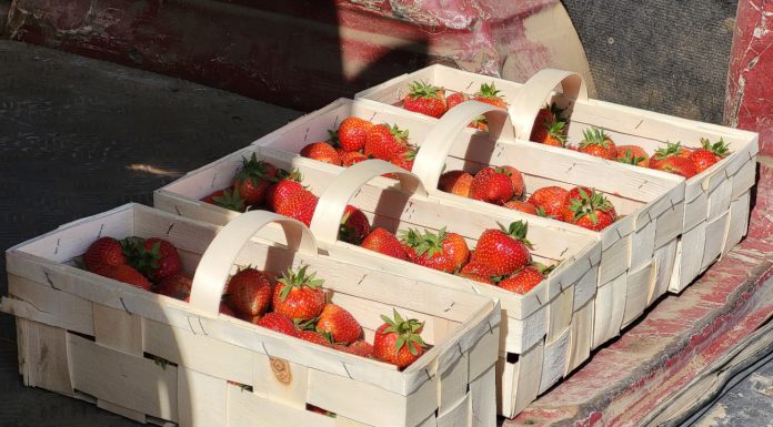 Ceny spadają! Truskawki i maliny na rynkach hurtowych (6.06.2023)