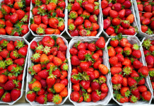 W tym sklepie truskawek zimą nie kupisz. Sieć redukuje „ślad węglowy” i wspiera krajowych producentów