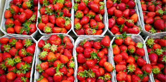 Ceny TRUSKAWEK i MALIN z dn. 22.06.2023