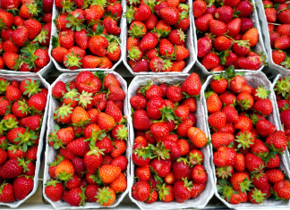 W tym sklepie truskawek zimą nie kupisz. Sieć redukuje „ślad węglowy” i wspiera krajowych producentów