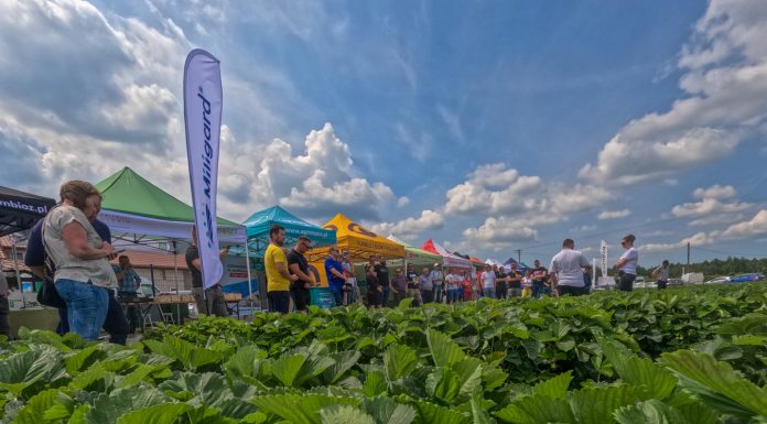 Praktyczna wiedza o uprawie truskawek i unikatowa kolekcja odmian