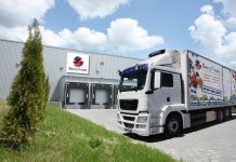 Polska borówka tuż za rogiem – przygotowania do sezonu z perspektywy eksportera