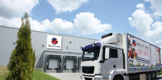 Polska borówka tuż za rogiem – przygotowania do sezonu z perspektywy eksportera