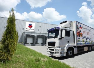 Polska borówka tuż za rogiem – przygotowania do sezonu z perspektywy eksportera