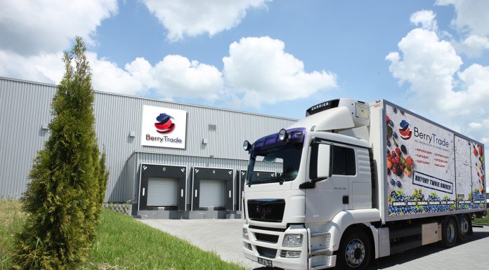 Polska borówka tuż za rogiem – przygotowania do sezonu z perspektywy eksportera