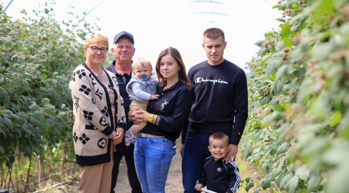 Technologicznie o uprawie malin w Roguszynie