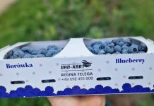 Opakowania na owoce dopasowane do potrzeb plantatorów