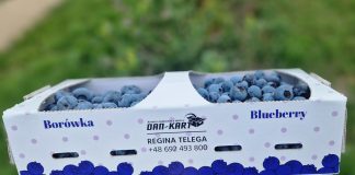 Opakowania na owoce dopasowane do potrzeb plantatorów