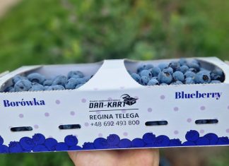 Opakowania na owoce dopasowane do potrzeb plantatorów