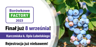 Borówkowe Factory 2023 – Finał sezonu