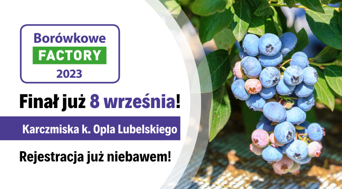 Borówkowe Factory 2023 – Finał sezonu