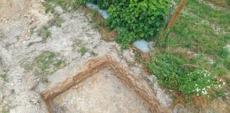 Zbudować właściwy potencjał plonotwórczy gleby