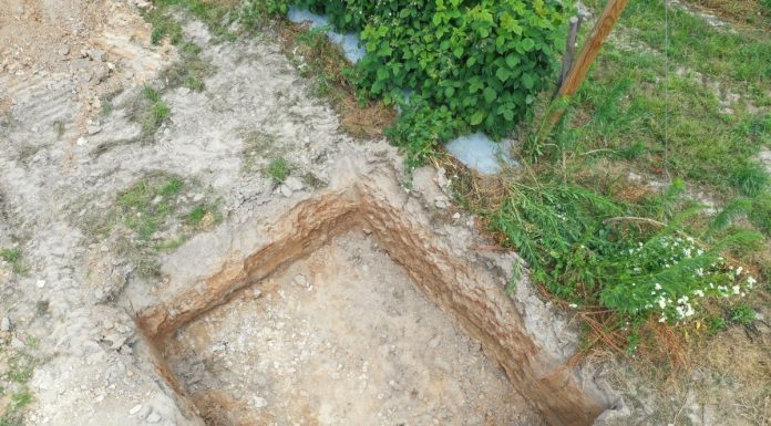 Zbudować właściwy potencjał plonotwórczy gleby