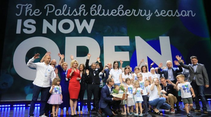 IBO SUMMIT 2023. W Lublinie spotkał się borówkowy świat