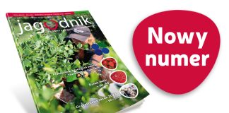 Jagodnik 6/2023 już w sprzedaży!