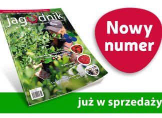 Jagodnik 6/2023 już w sprzedaży!