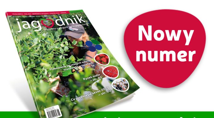 Jagodnik 6/2023 już w sprzedaży!
