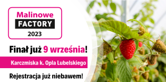 Malinowe Factory 2023 – Finał sezonu