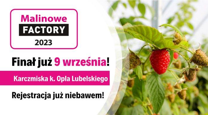Malinowe Factory 2023 – Finał sezonu
