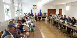 Rynek owoców jagodowych w MRiRW – ma być skup interwencyjny malin