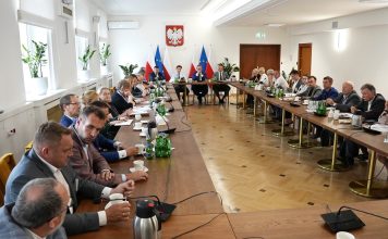 Rynek owoców jagodowych w MRiRW – ma być skup interwencyjny malin