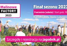 Malinowe Factory 2023 – PROGRAM
