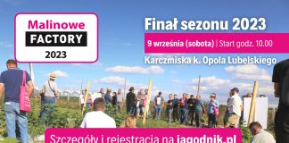 Malinowe Factory 2023 – PROGRAM
