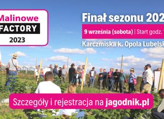 Malinowe Factory 2023 – PROGRAM
