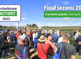 Borówkowe Factory 2023 – PROGRAM