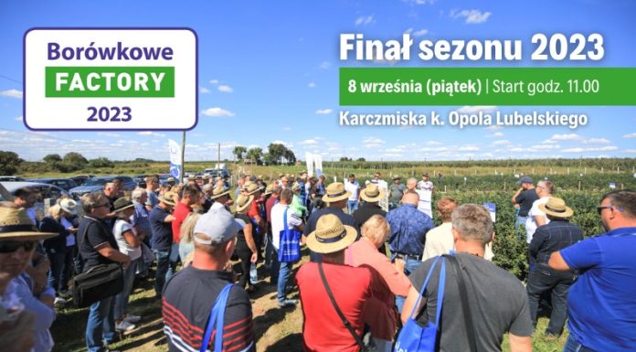 Borówkowe Factory 2023 – PROGRAM