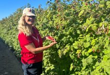 Co nowego w uprawie malin i jeżyn? XIII Sympozjum Rubus&Ribes w USA