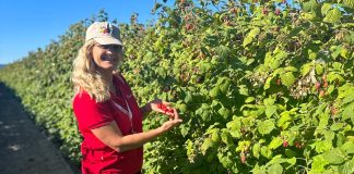 Co nowego w uprawie malin i jeżyn? XIII Sympozjum Rubus&Ribes w USA