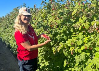 Co nowego w uprawie malin i jeżyn? XIII Sympozjum Rubus&Ribes w USA