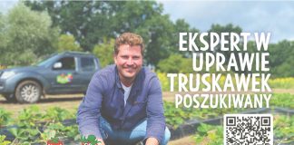 Oferta pracy- Specjalista ds. technologii produkcji (agronom) – plantacja Karls