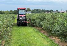 Rozwój małych gospodarstw – nabór wniosków o wsparcie do 10 listopada