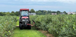 Rozwój małych gospodarstw – nabór wniosków o wsparcie do 10 listopada