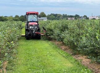 Rozwój małych gospodarstw – nabór wniosków o wsparcie do 10 listopada