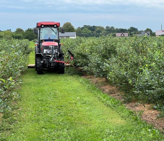 Rozwój małych gospodarstw – nabór wniosków o wsparcie do 10 listopada
