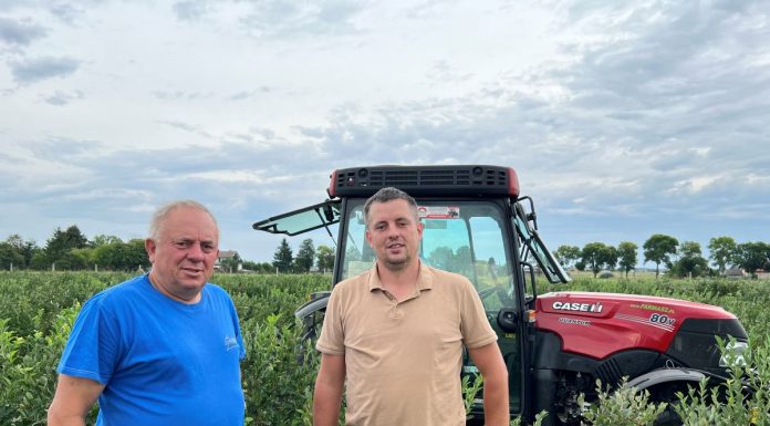 „Jestem zadowolony z borówkowego sezonu”