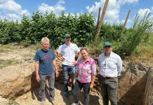 Przystępujemy do poprawy parametrów profilu glebowego – rozmowa ekspertów