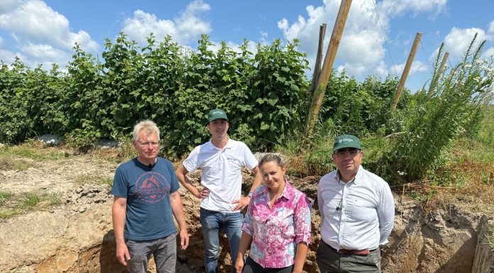 Przystępujemy do poprawy parametrów profilu glebowego – rozmowa ekspertów