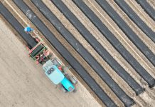 Jak powstają zagony pod uprawę truskawek?