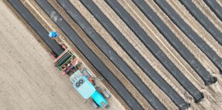 Jak powstają zagony pod uprawę truskawek?