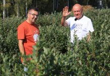 Podsumowanie borówkowego sezonu 23. Pogoda rozdała karty!